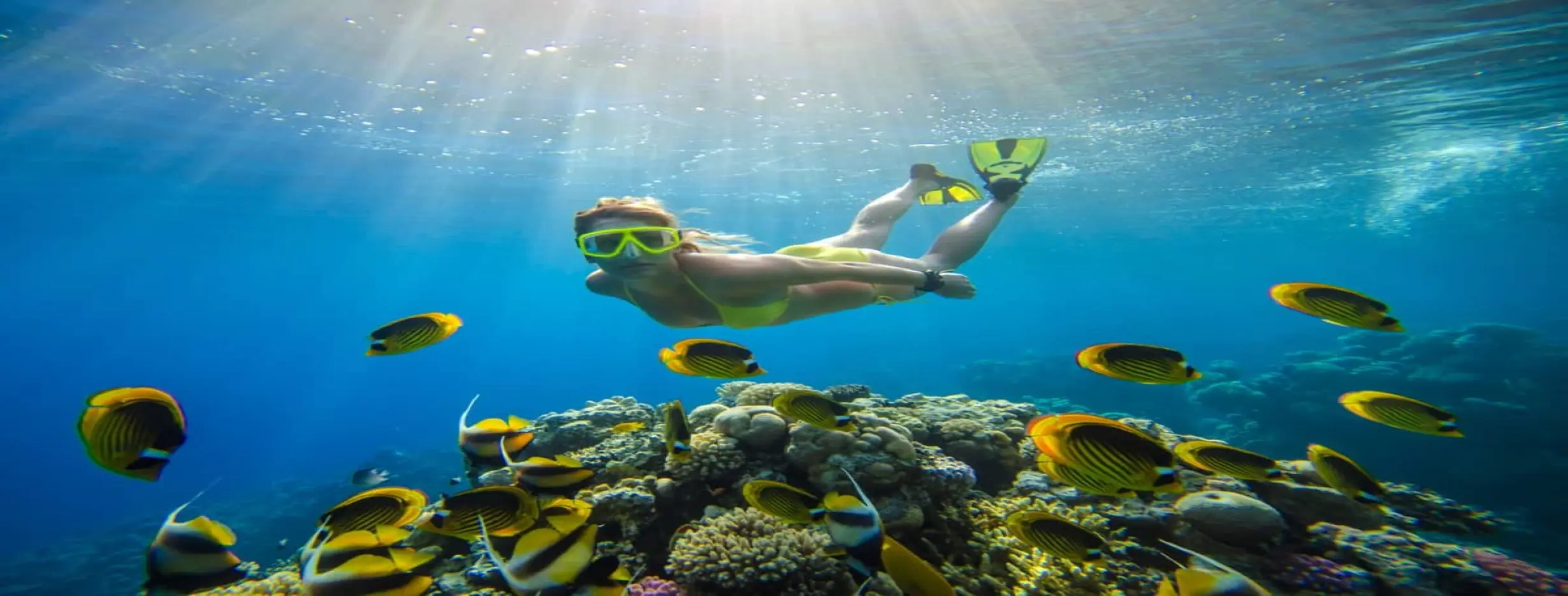 Image for Beach Diving